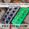 Kamagra Oral Jelly Side Effects new04